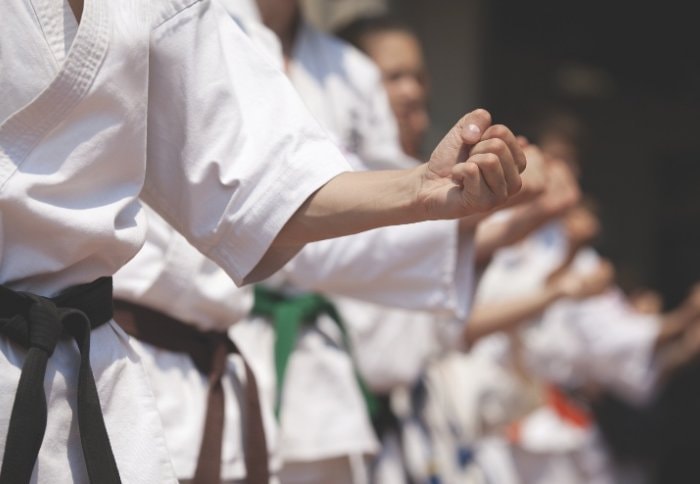 Adult Karate